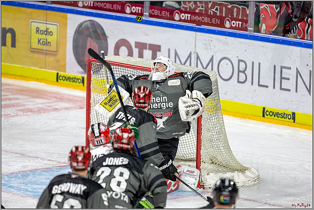 DEL; Koelner Haie - Augsburger Panther, 14.11.2018